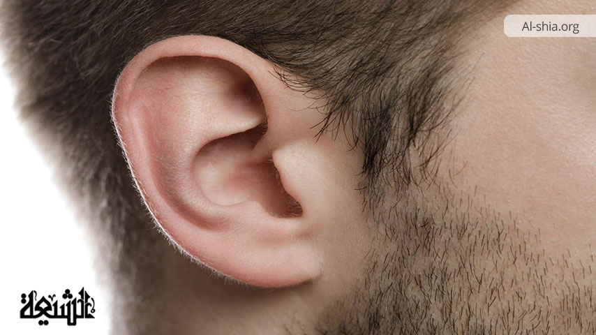 اعضاء بدن کی زکات امام صادق (ع) کی نظر میں